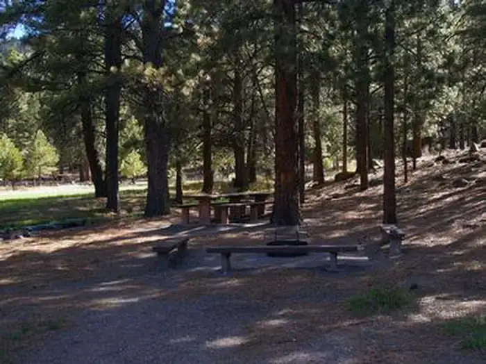 Camper-submitted photo at Singletree near Capitol Reef National Park