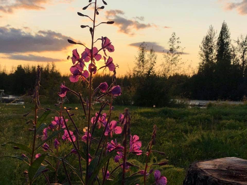 Camper-submitted photo at Susitna Landing near Willow, AK