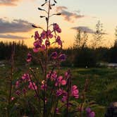 Review photo of Susitna Landing by Shadara W., August 12, 2019