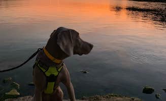 Tonya D.'s photo of camping with pets at Taylorsville Lake State Park Campground near Fairdale, KY
