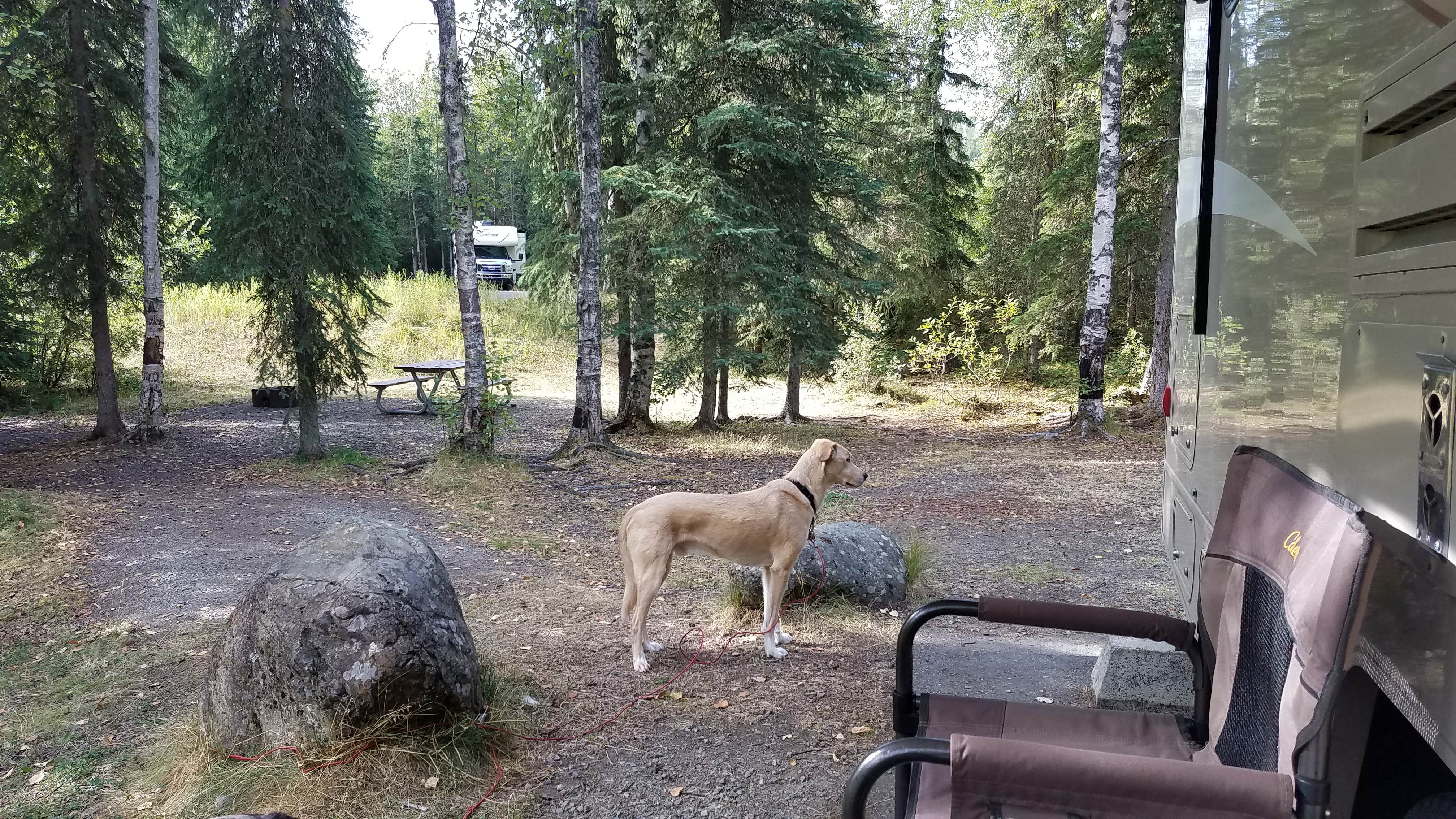 Camper submitted image from Eagle River Campground - Chugach State Park - 5