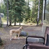 Review photo of Eagle River Campground - Chugach State Park by Shadara W., August 12, 2019