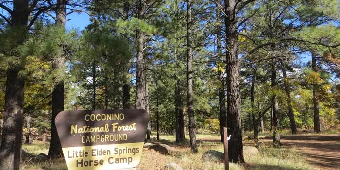 Camper submitted image from Little Elden Springs Horsecamp