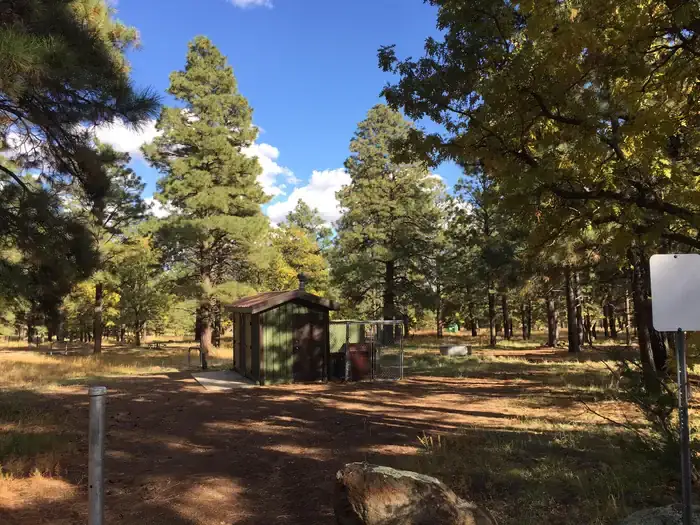 Camper-submitted photo at Little Elden Springs Horsecamp near Mormon Lake, AZ