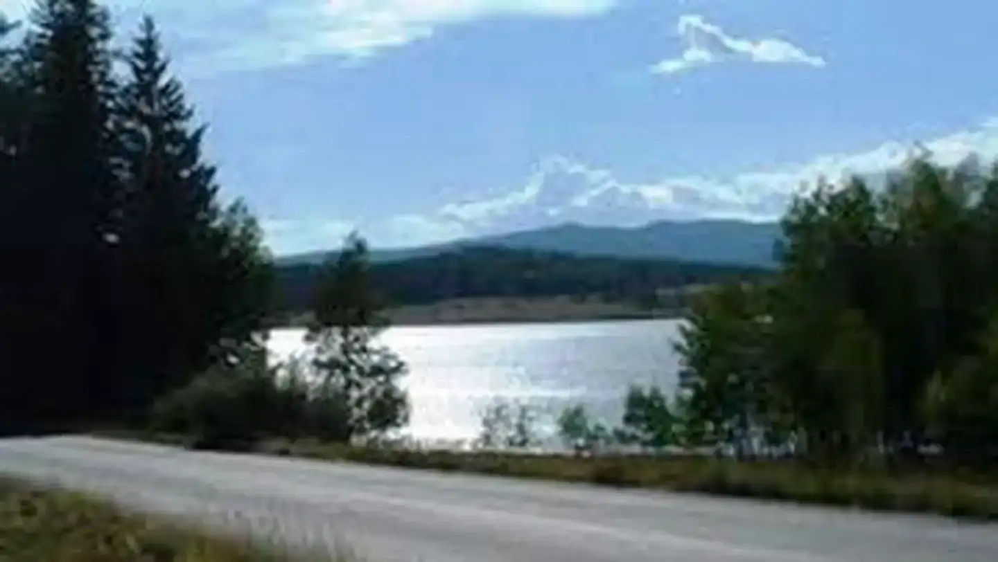 Camping near Aspen Campground: Brook Char Campground, Greer, Arizona