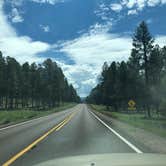 Review photo of Hawley Lake Apache Indian Res by Christa D., August 12, 2019