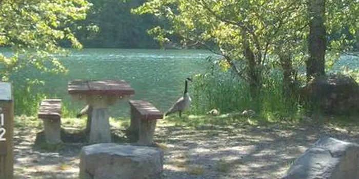 Camper submitted image from Santiam Flats Campground