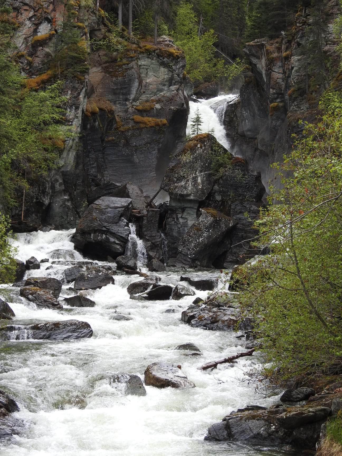 Camper-submitted photo at Liberty Falls State Recreation Site near Copper Center, AK