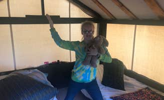 Melissa F.'s photo of glamping accommodations at Denali Grizzly Bear Resort in Alaska