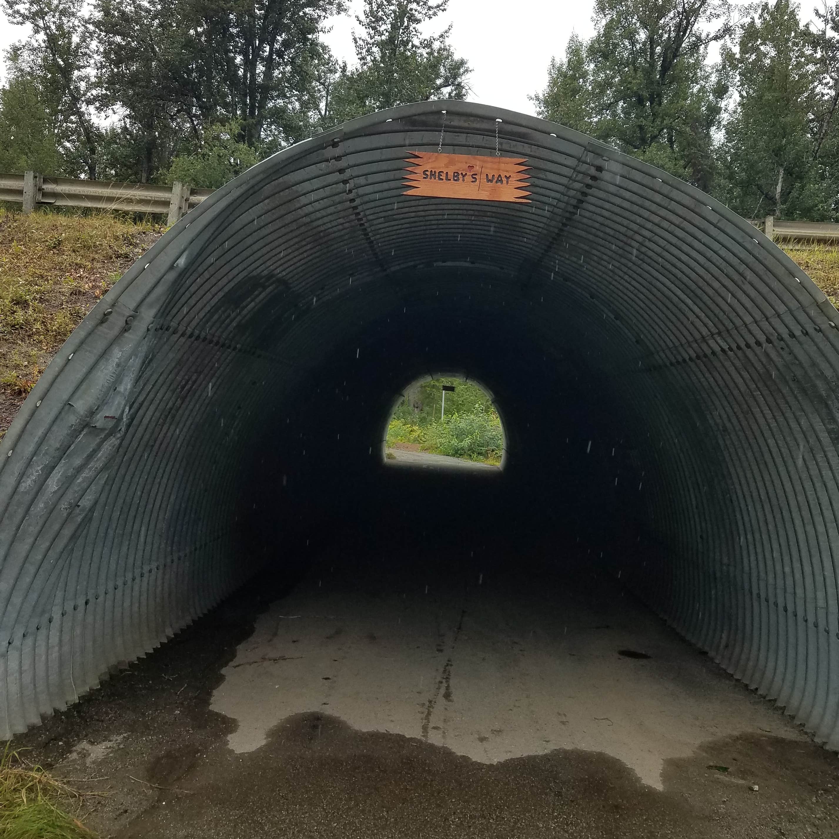 Camper-submitted photo at Montana Creek Campground near Talkeetna, AK