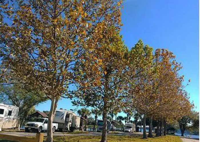 Camper submitted image from W.P. Franklin N - 1