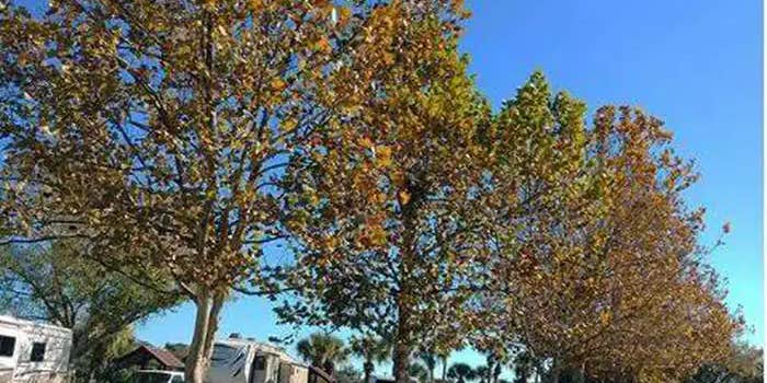 Camper submitted image from W.P. Franklin N