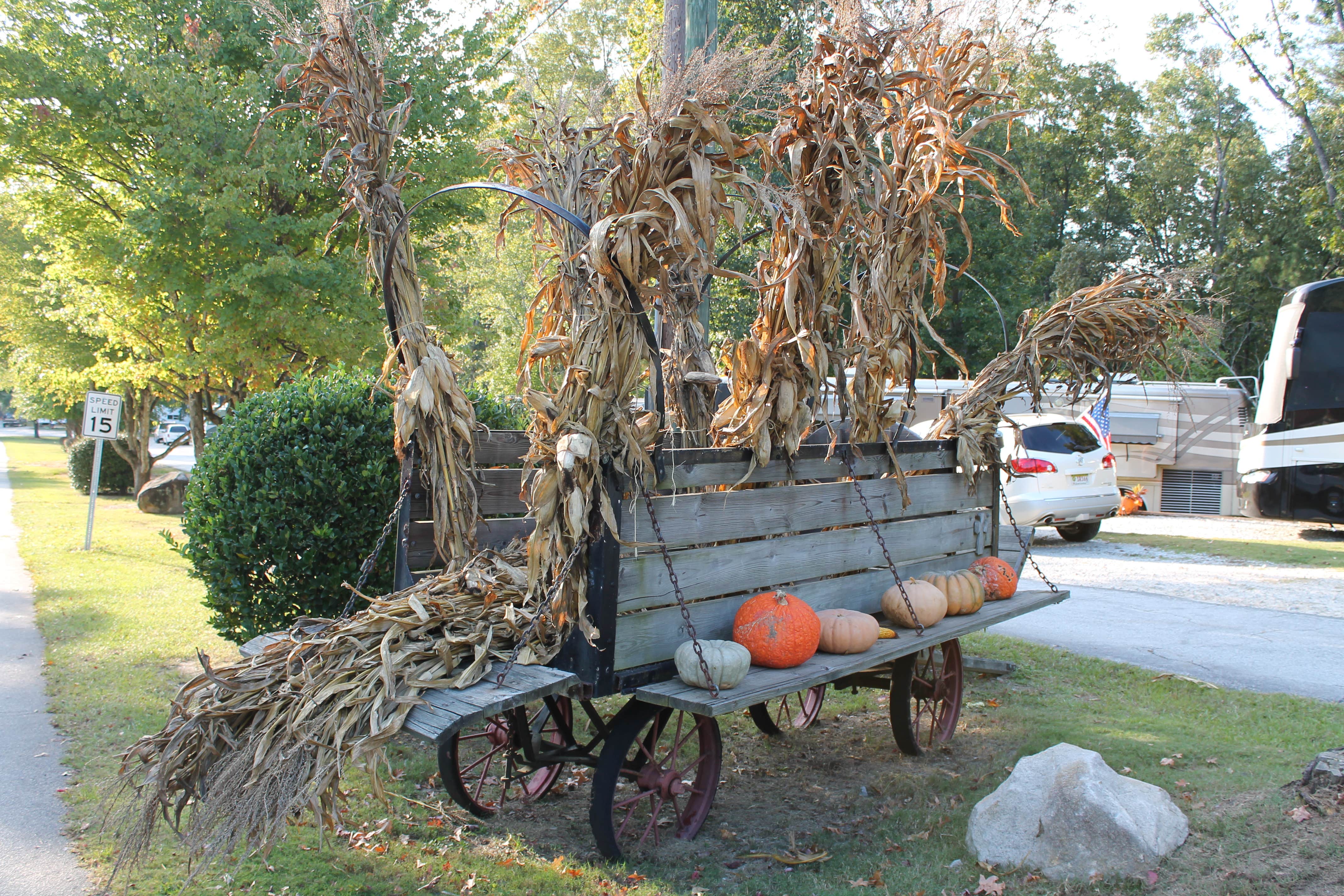Camper submitted image from Stone Mountain Park Campground - 2