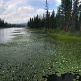 Review photo of River Point Lolo Campground (Mt) — Lolo National Forest by Kathy  H., August 11, 2019