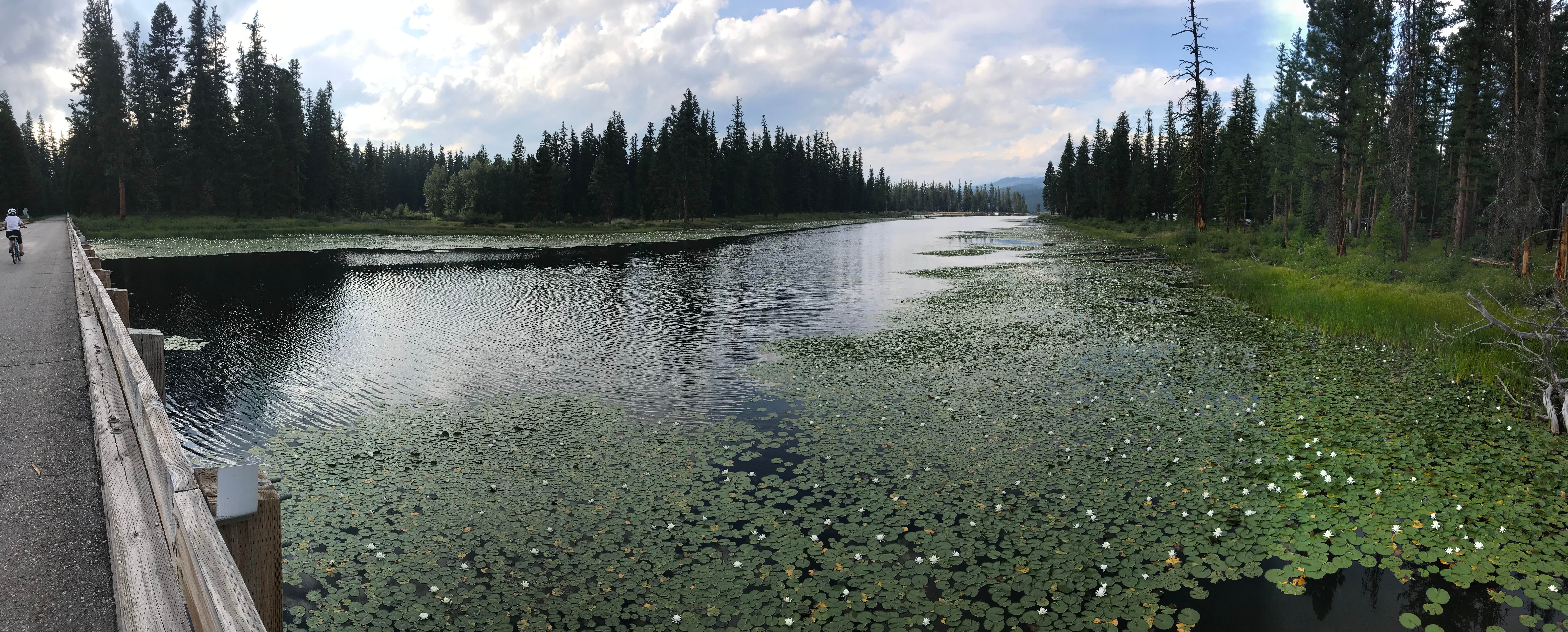 Camper submitted image from River Point Lolo Campground (Mt) — Lolo National Forest - 2