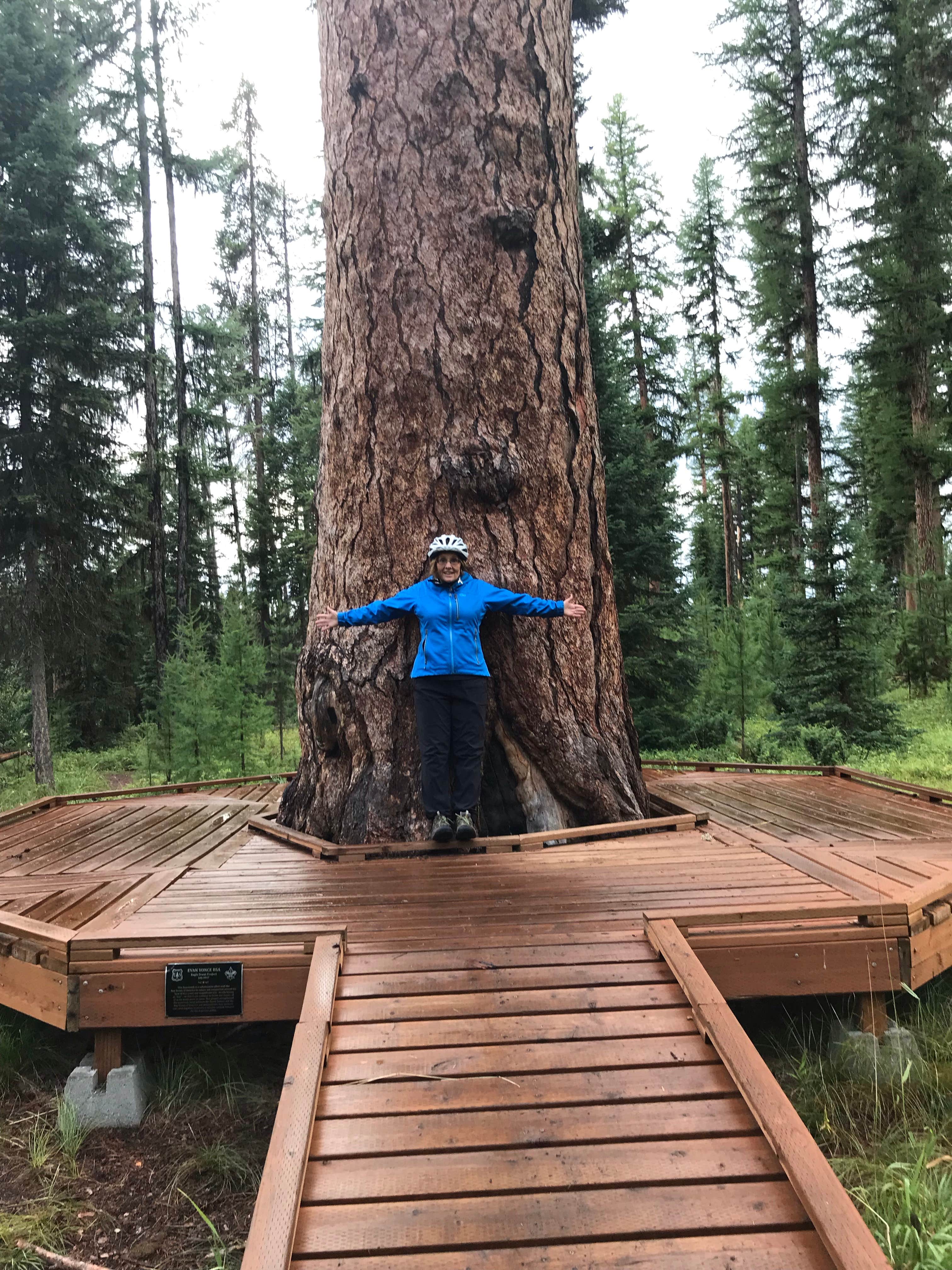 Camper-submitted photo at River Point Lolo Campground (Mt) — Lolo National Forest near Seeley Lake, MT
