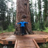 Review photo of River Point Lolo Campground (Mt) — Lolo National Forest by Kathy  H., August 11, 2019