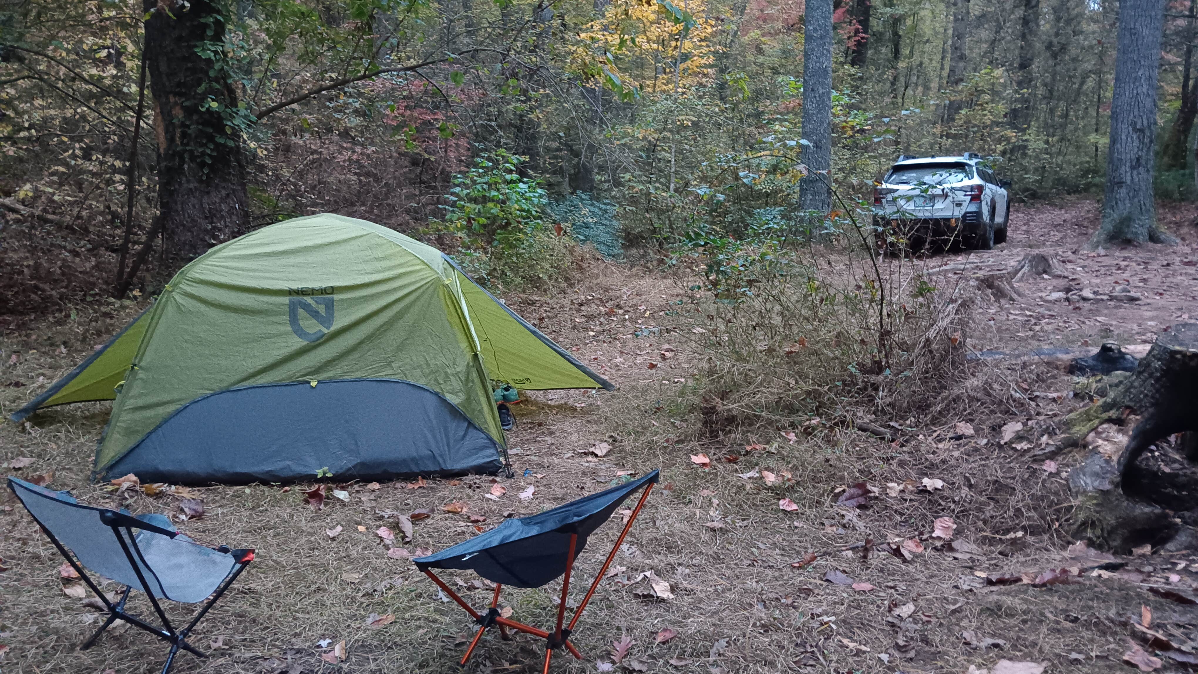 Camper submitted image from Dicks Creek Falls Campsites off Main Road - 1