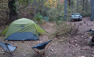 Jennifer M.'s photo of a dispersed camping area at Dicks Creek Falls Campsites off Main Road near Oakwood, GA