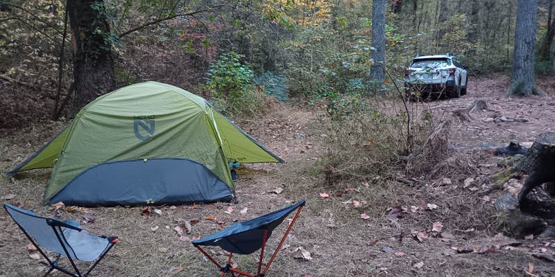 Camper submitted image from Dicks Creek Falls Campsites off Main Road