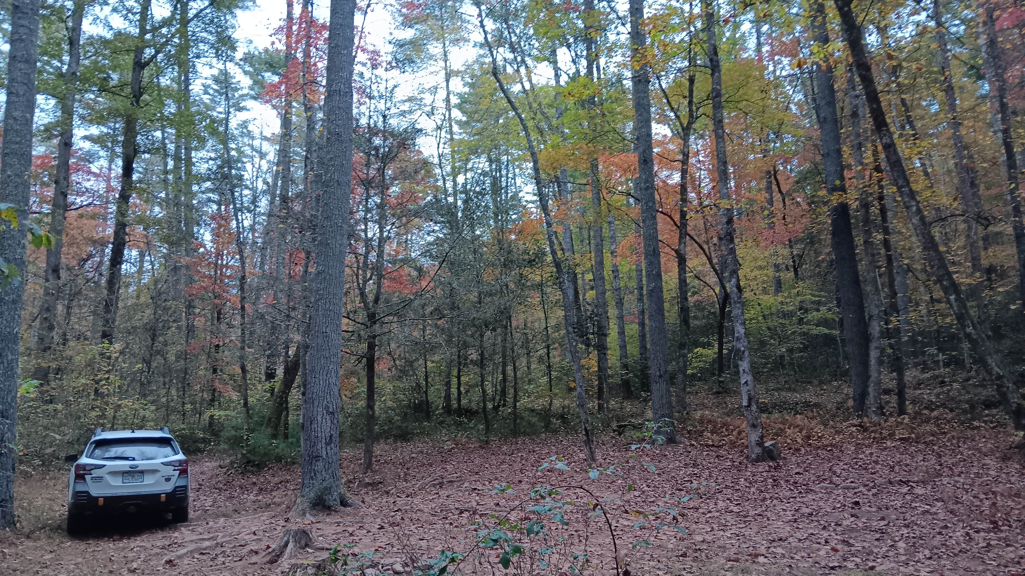 Camper-submitted photo at Dicks Creek Falls Campsites off Main Road near Lake Sidney Lanier