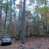 Review photo of Dicks Creek Falls Campsites off Main Road by Jennifer M., November 1, 2025