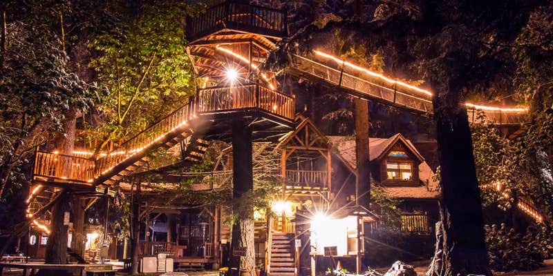 Camper submitted image from Out'n'About Treesort