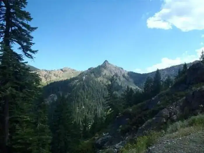 Camper-submitted photo at Carter Meadows Horse Campground near Mount Shasta, CA