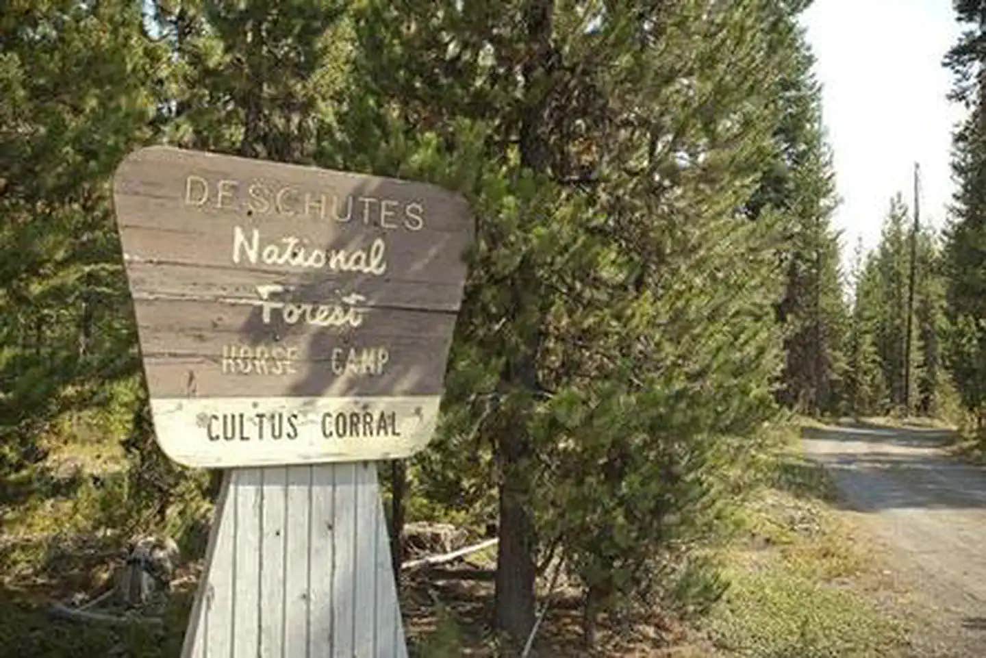 Camper submitted image from Cultus Corral Horse Camp - 1