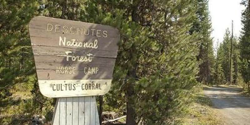 Camper submitted image from Cultus Corral Horse Camp