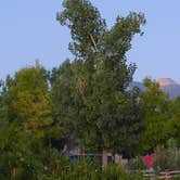 Review photo of Cortez, Mesa Verde KOA by Kari T., September 25, 2016