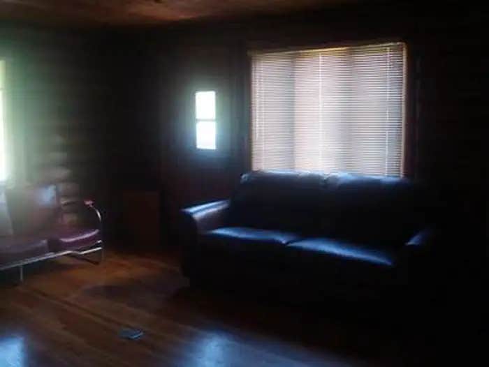 Camper submitted image from Black Bear - 1