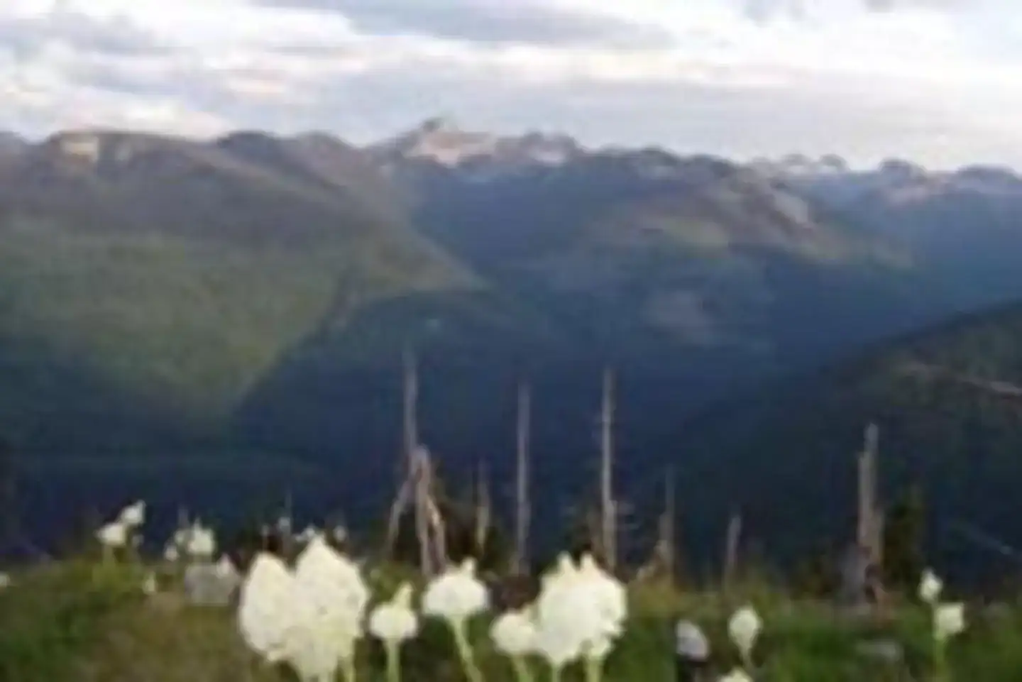 Camper-submitted photo at Shorty Peak Lookout near Metaline Falls, WA
