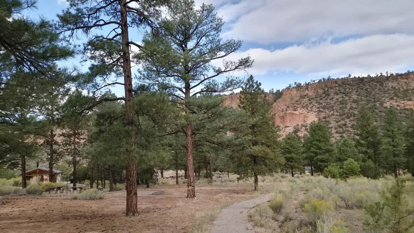 Camper submitted image from Paliza Family Campground - 1