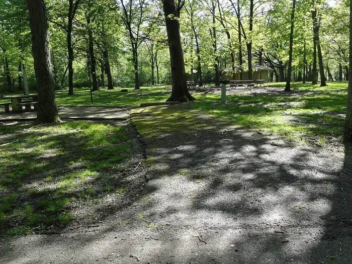 Camper submitted image from Shagbark Group Area - 1