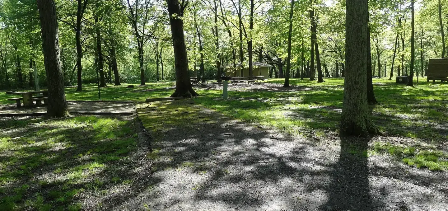 Camper-submitted photo at Shagbark Group Area near Benton, IL