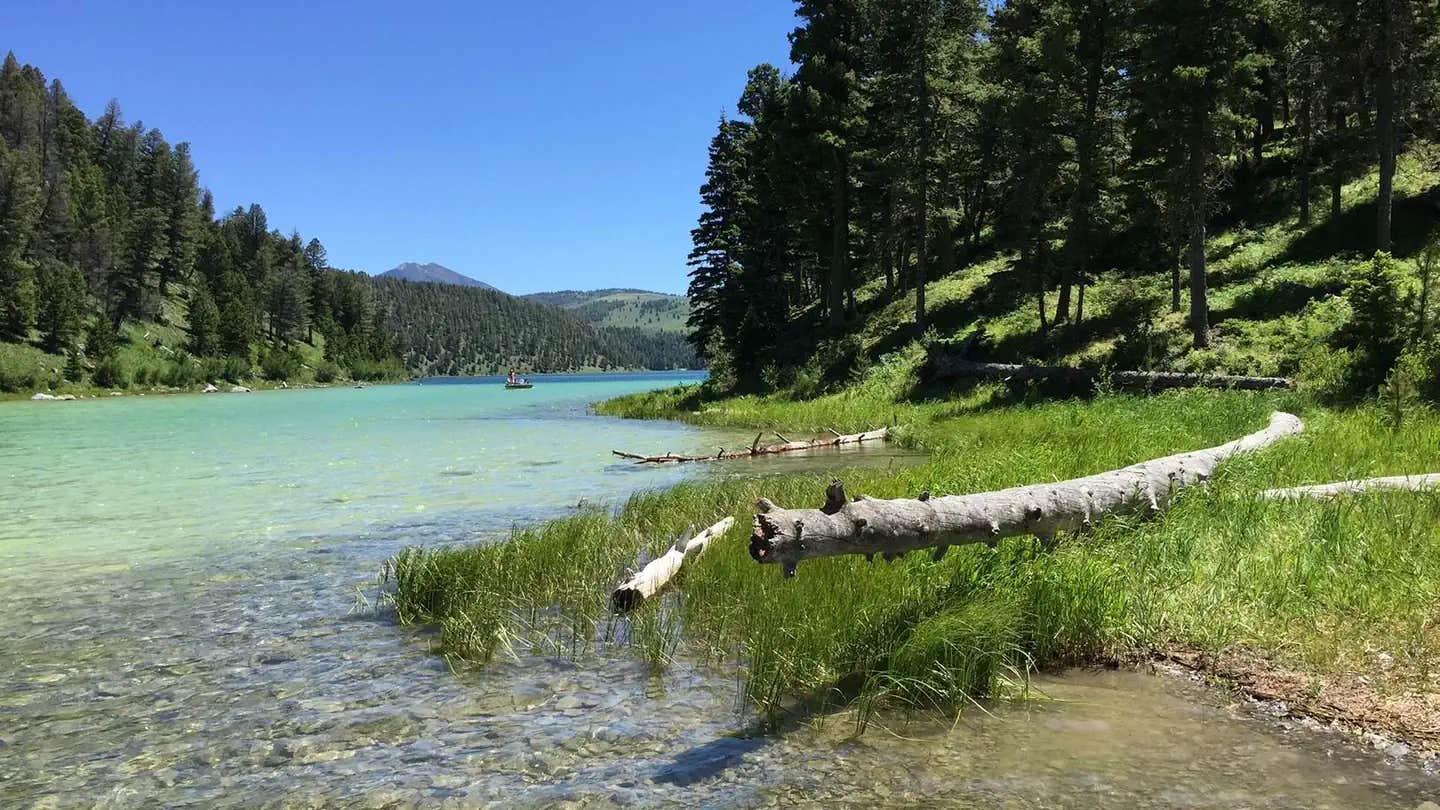 Camper submitted image from Cliff Point (Mt) — Beaverhead Deerlodge National Forest - 1