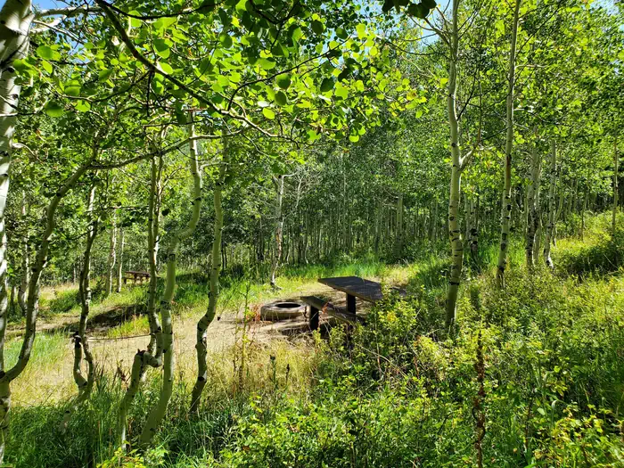 Camper-submitted photo at Gooseberry Creek Campground near Fairview, UT