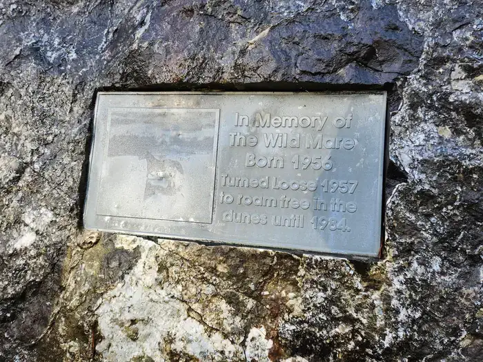 Camper-submitted photo at Wild Mare Horse Campground near Siuslaw National Forest