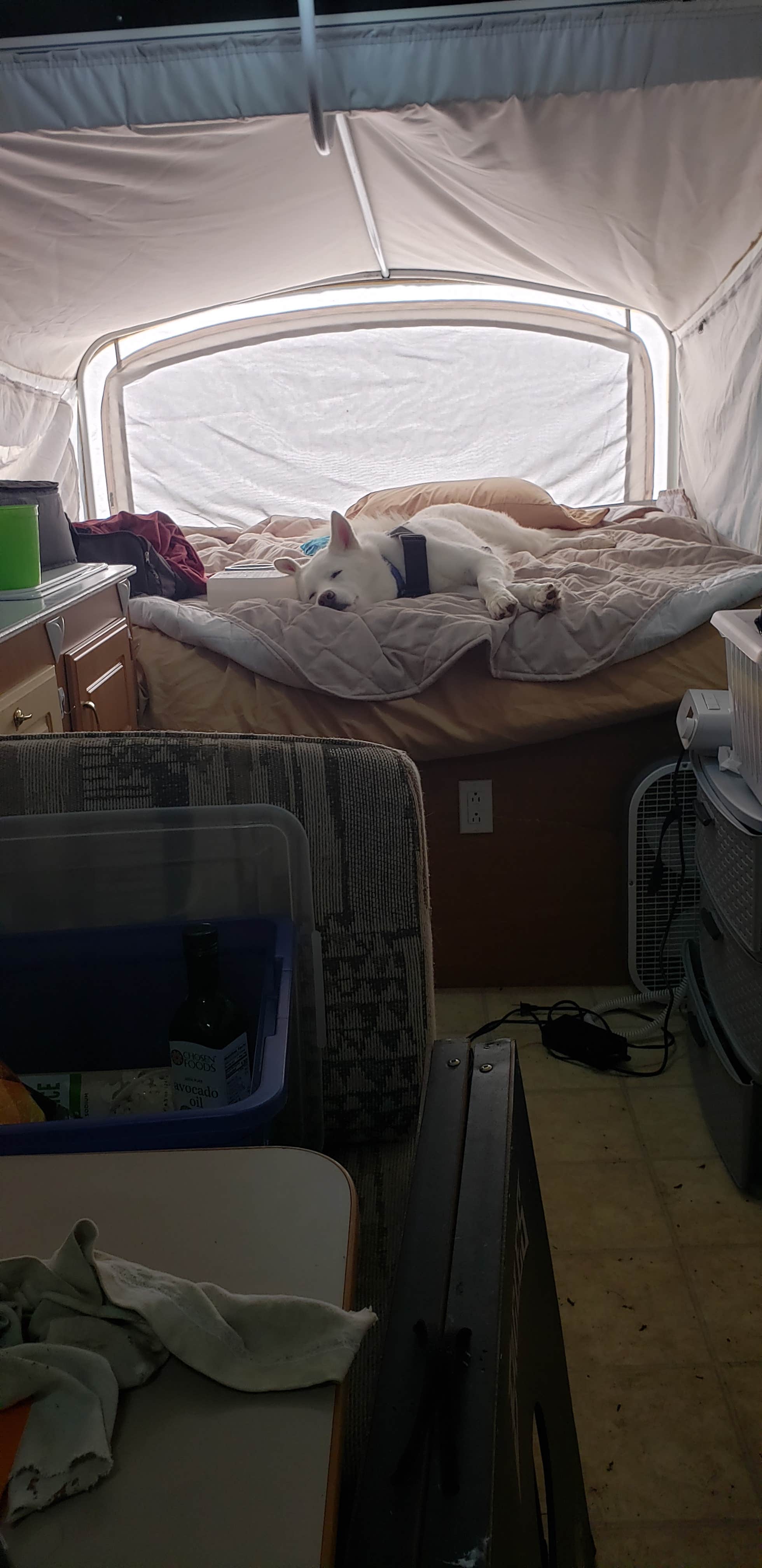 Camper-submitted photo at Fort Boonesborough State Park Campground near Lexington, KY