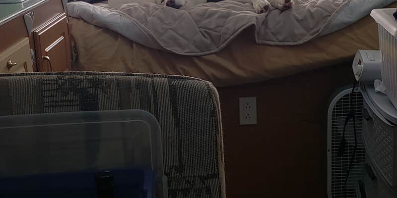 Camper submitted image from Fort Boonesborough State Park Campground