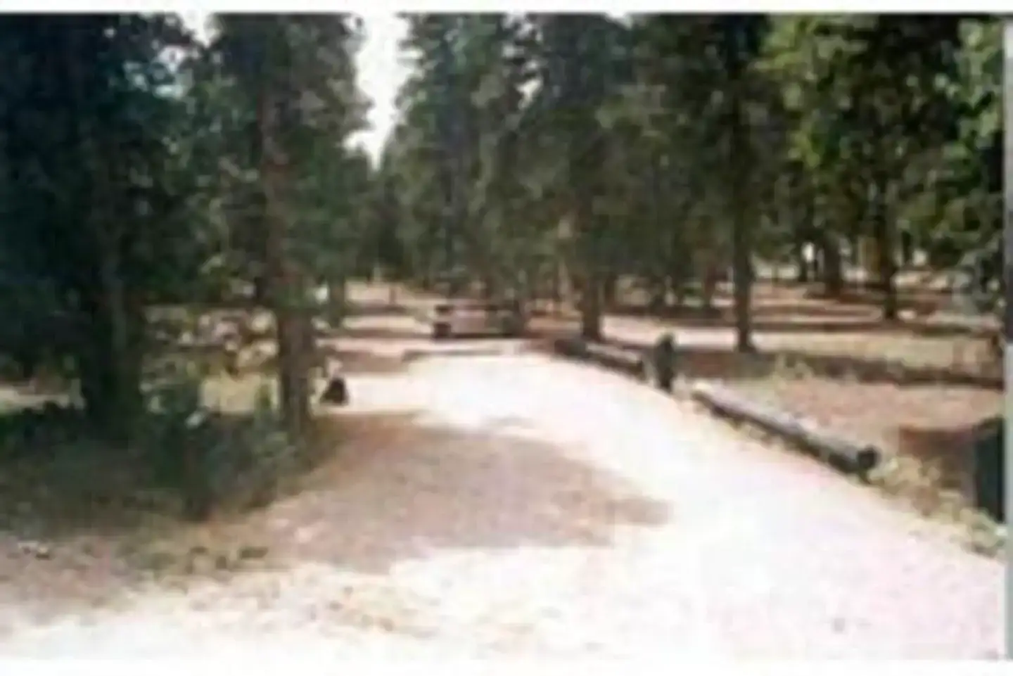 Camper-submitted photo at Columbine Campground - Outside of Denver near Black Hawk, CO