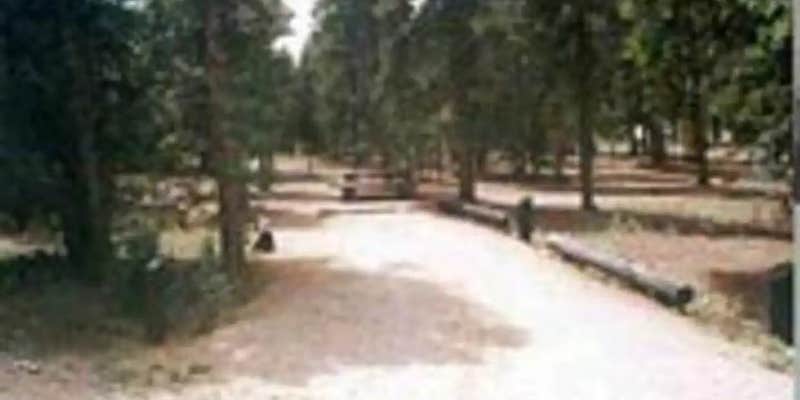 Camper submitted image from Columbine Campground - Outside of Denver