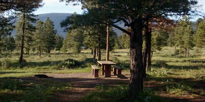 Camper submitted image from Canyon Rim