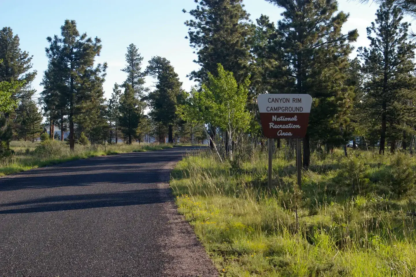 Camper-submitted photo at Canyon Rim near Flaming Gorge, UT