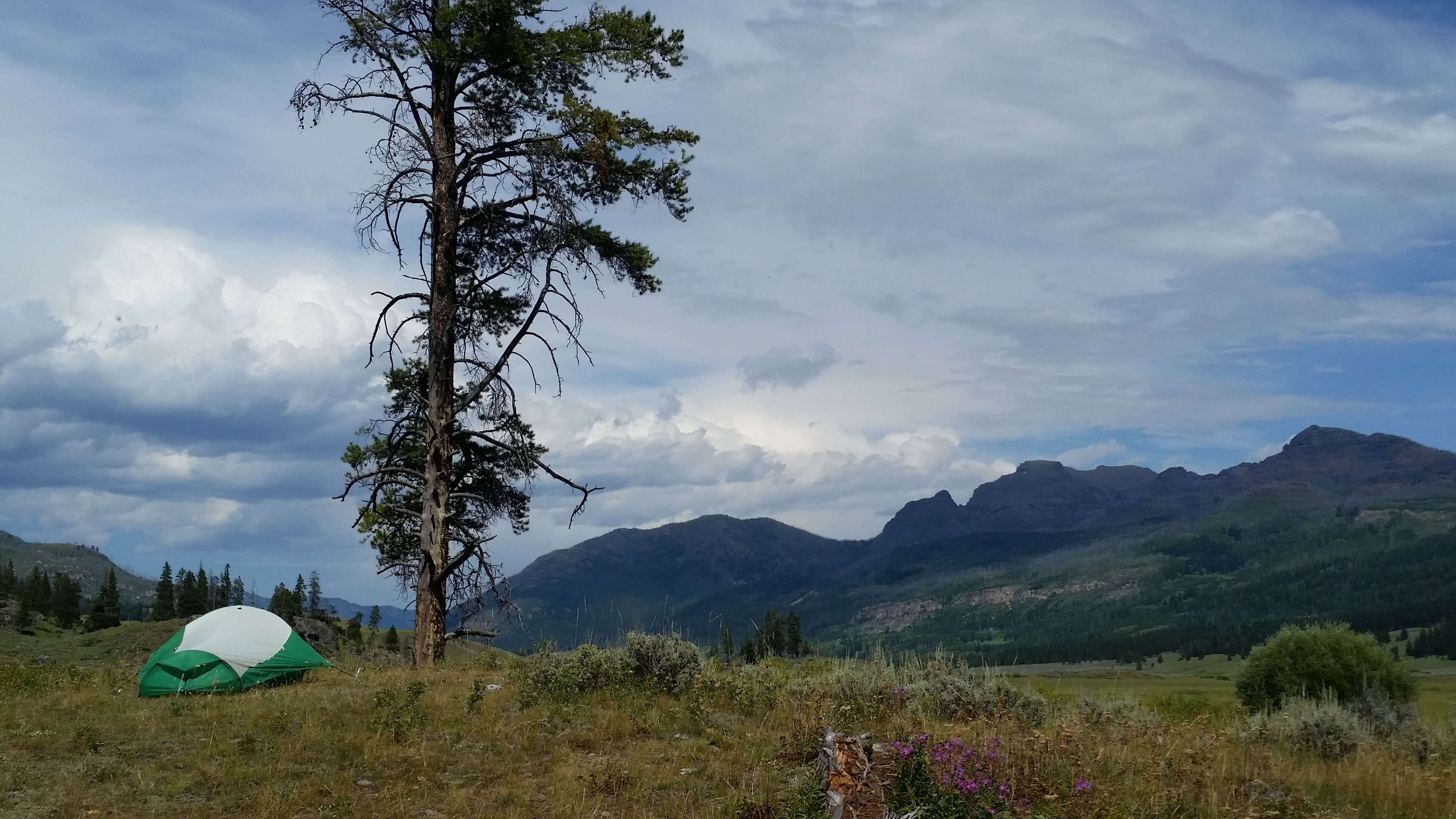 Camper submitted image from 2S1 Yellowstone National Park Backcountry — Yellowstone National Park - 3