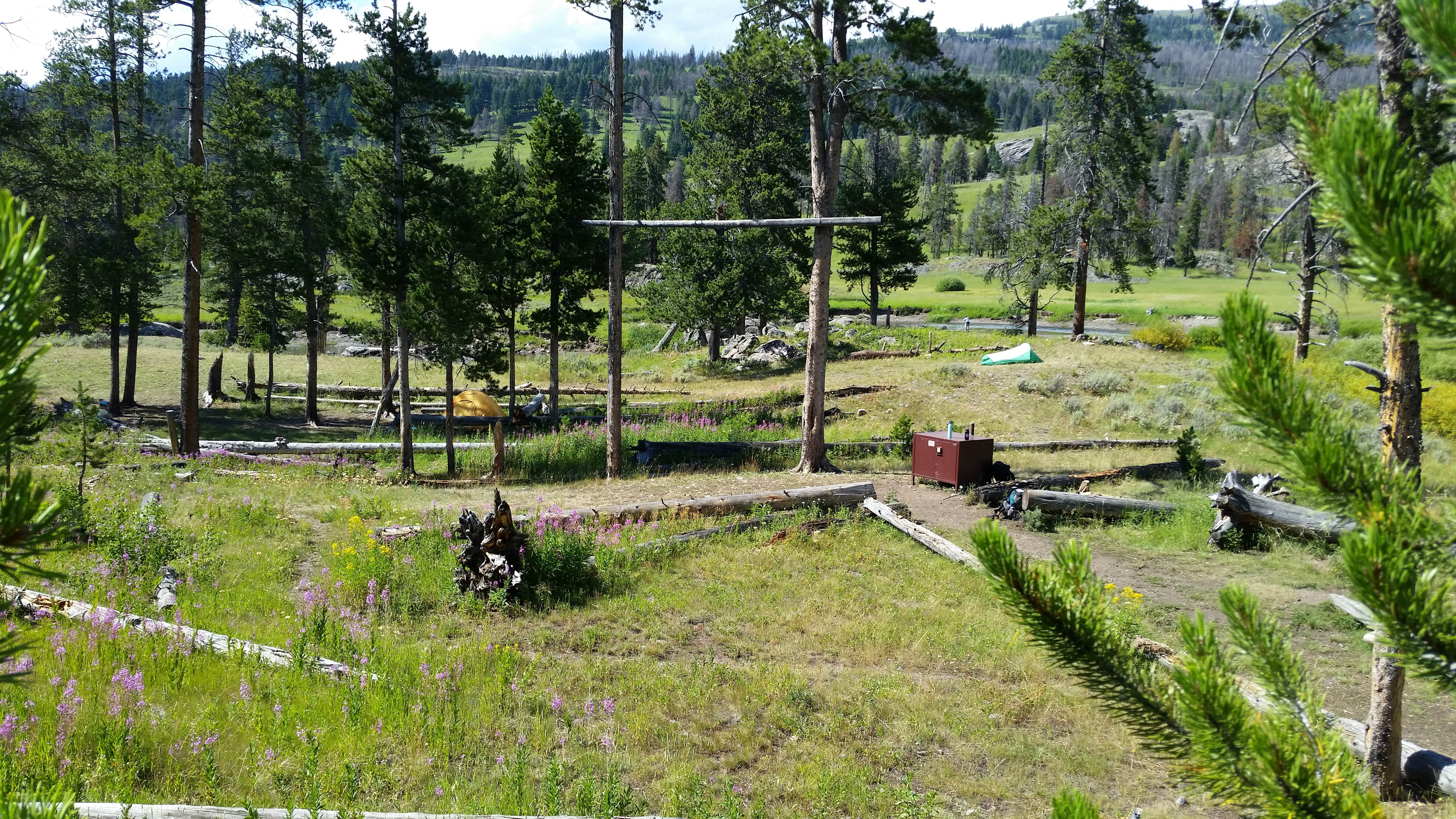 Camper-submitted photo at 2S1 Yellowstone National Park Backcountry — Yellowstone National Park near Cooke City, MT