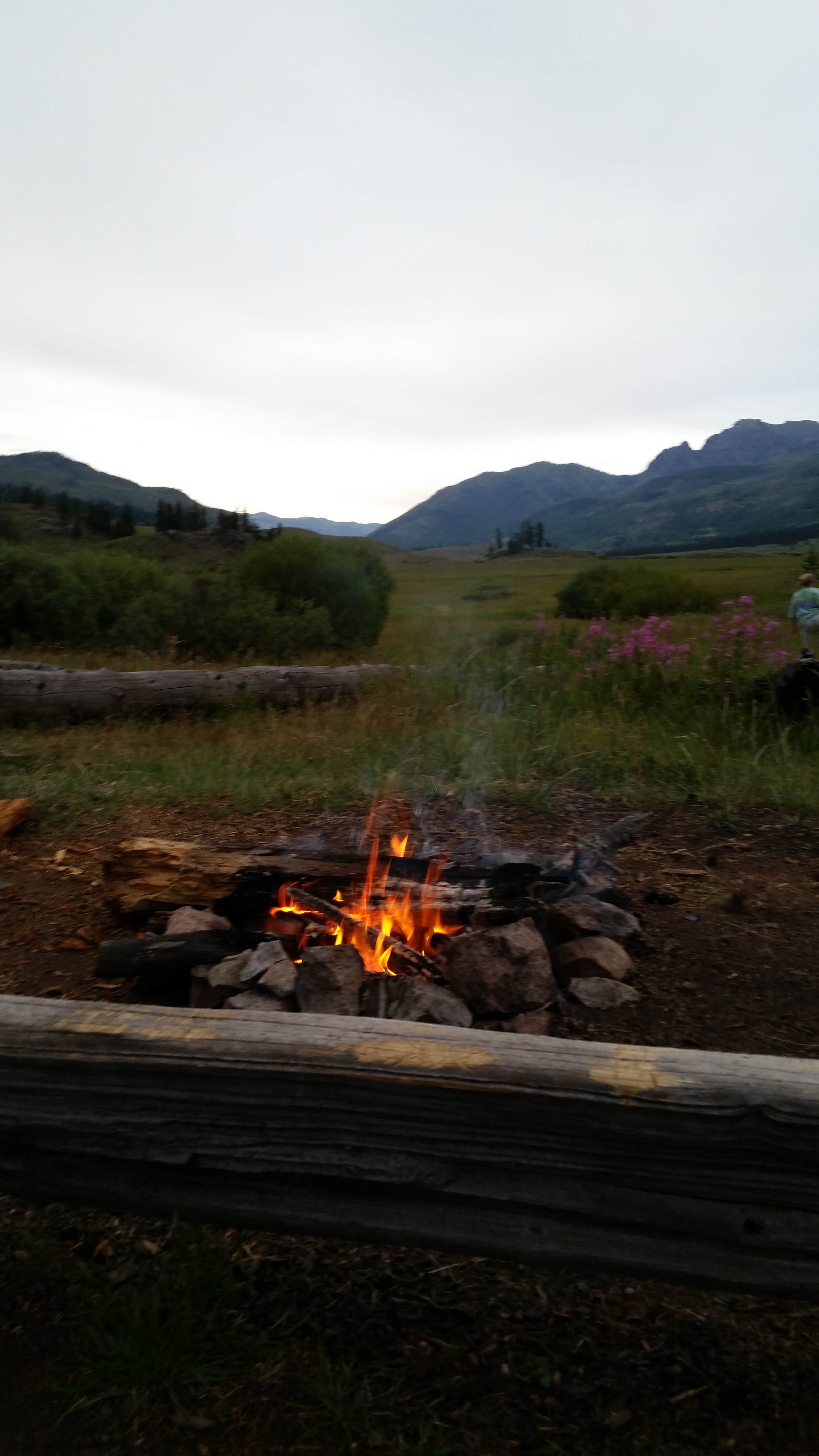 Camper-submitted photo at 2S1 Yellowstone National Park Backcountry — Yellowstone National Park near Cooke City, MT