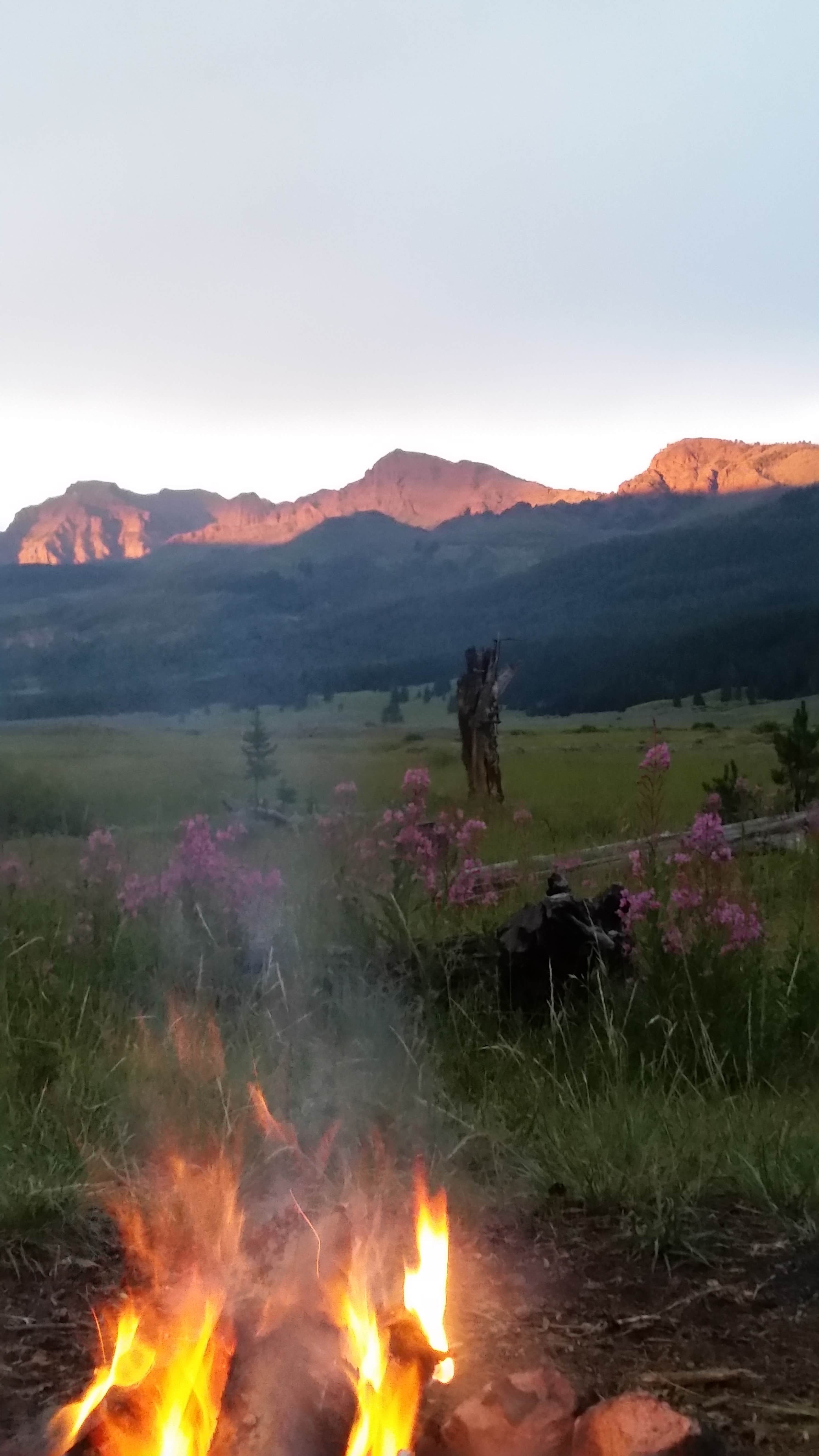 Camper-submitted photo at 2S1 Yellowstone National Park Backcountry — Yellowstone National Park near Cooke City, MT