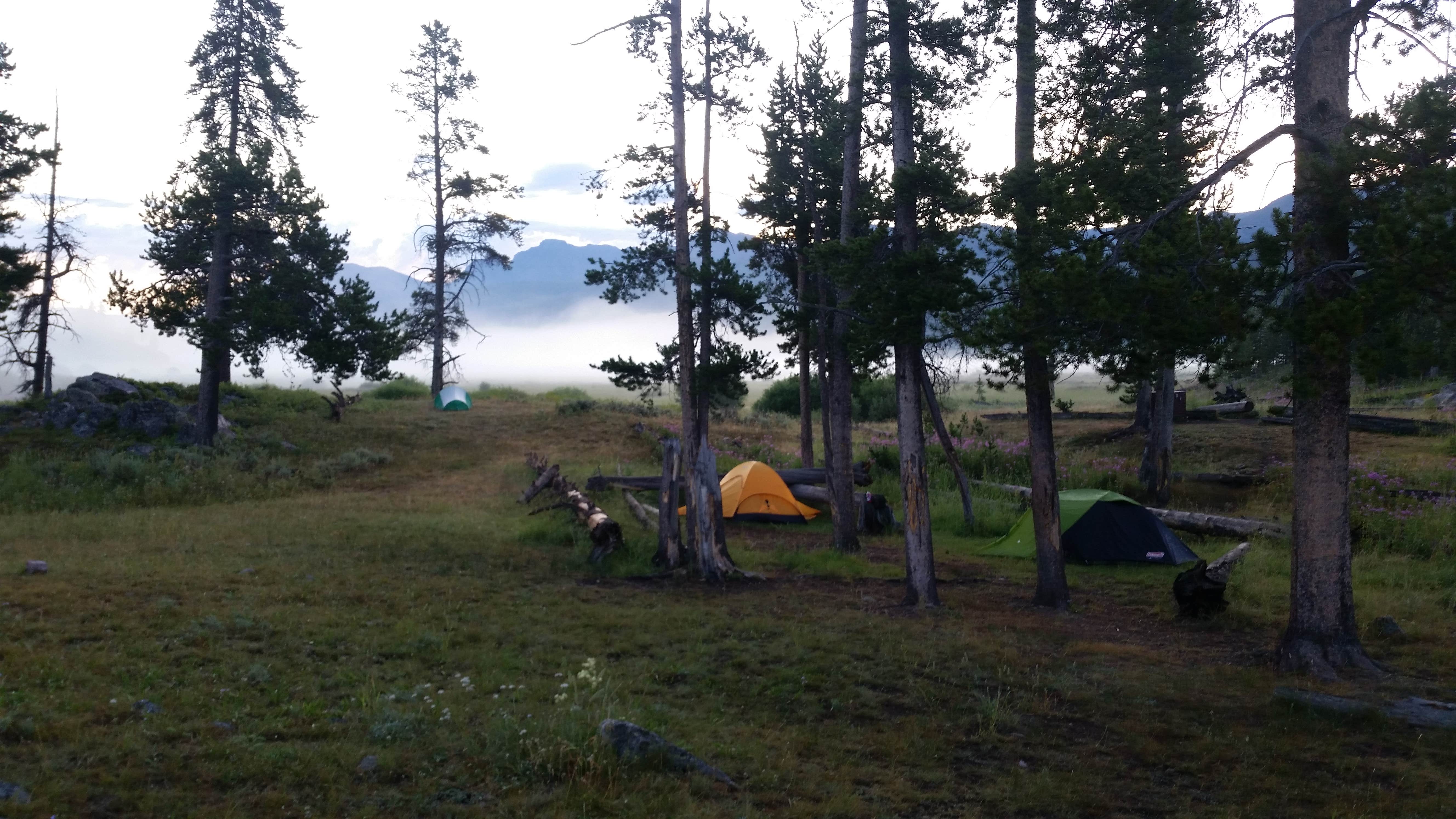 Camper-submitted photo at 2S1 Yellowstone National Park Backcountry — Yellowstone National Park near Cooke City, MT
